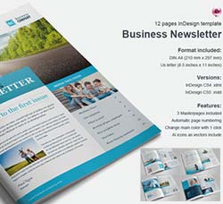 indesign模板－商业杂志模板：Business Newsletter Vol.2